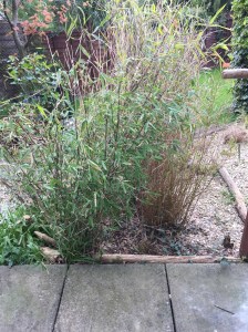 20150427_151241422_iOS