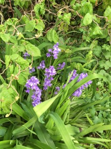 20150427_151307614_iOS