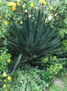 20150427_151339911_iOS