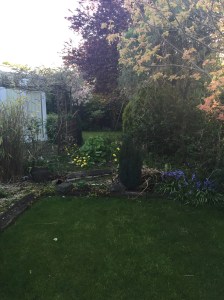 20150427_182050423_iOS