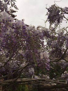 20150515_184319000_iOS