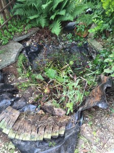 20150619_145403000_iOS