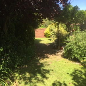 20150621_152953405_iOS