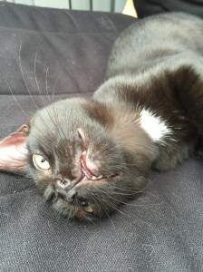 20150913_142658247_iOS