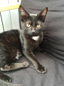 20150913_142829006_iOS