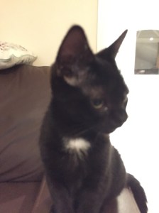 20150916_205550227_iOS