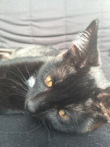 20150918_124629243_iOS