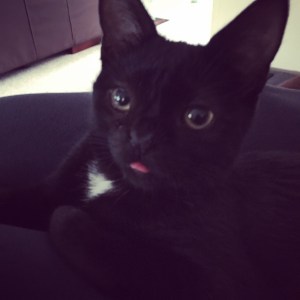 20150919_093536132_iOS