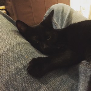 20150922_211638131_iOS