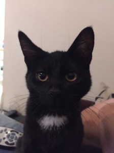 20150922_211732974_iOS