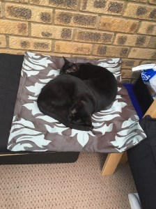 20150926_173217652_iOS