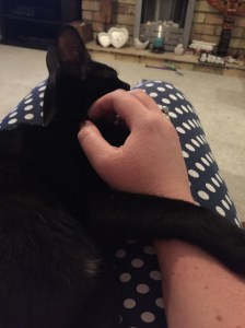 20151001_210633614_iOS