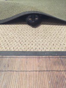 20151002_185029417_iOS