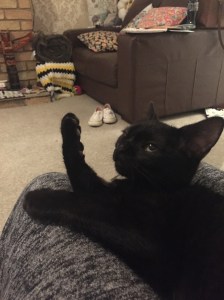 20151002_202006461_iOS