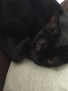 20151010_155155223_iOS