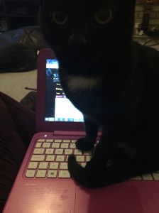 20151013_172746000_iOS