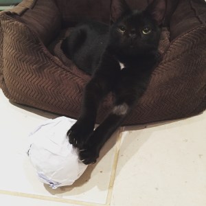 20151026_220115000_iOS